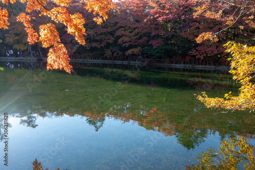 雲場池の水面に映る紅葉 Foto De Stock Adobe Stock 雲場池の水面に映る紅葉 Foto De Stock Adobe Stock