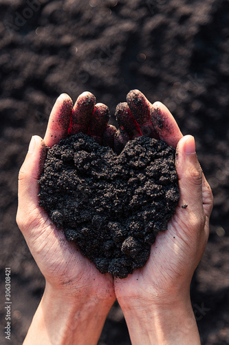 Black sand in woman hand take raise up in heart shape to show the dark surface texture, have soft gold  light of sunset, look like soil for planting - vertical