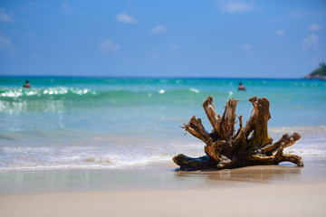 Wall Mural - timber on the blue sea in Thailand