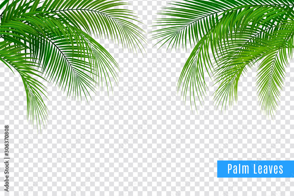 Realistic Tropical Leaves Frame - obrazy, fototapety, plakaty 