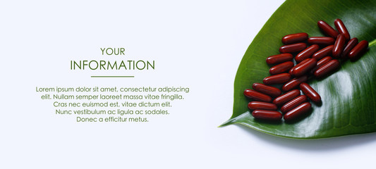 Wall Mural - Red capsules pills on fresh green leaf background. Medical conception. First Aid Kit. Web article template. Long header banner format. Sale coupon. Visit card. Your information. Text space.	