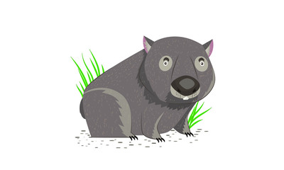 Wall Mural - Wombat