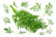 fresh green dill isolated on white background. top view