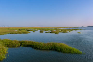 Wall Mural - Marsh in the Brunswick, GA Area