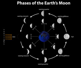 Poster - Diagram showing phases of earth moon