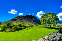 Lake District Landscape In The Surroundings Of Grasmere Village In Cumbria, England. Sunny Day With Blue Sky And Fluffy Clouds.