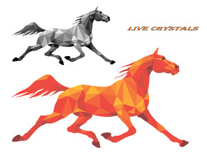 Wall Mural - set running horses, Trotter, colored, isolated image on white background in low poly style  