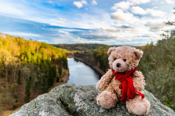 Wall Mural - Teddy bear Dranik in autumn czech republic