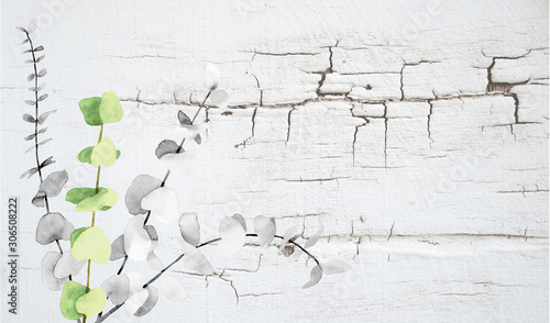 Background ナチュラルテイスト 背景イラスト ミントグリーン Foto De Stock Adobe Stock Background ナチュラルテイスト 背景イラスト ミントグリーン Foto De Stock Adobe Stock