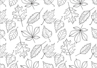 Hand drawn vector seamless pattern with leaf. Decorative template texture with autumn leaf, background