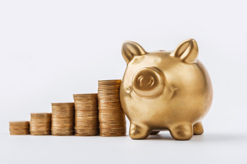 money ladder leading to a pig piggy bank on a white background