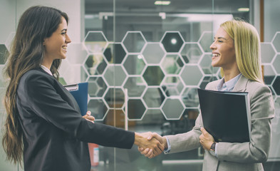 Beautiful business women shaking hands in office