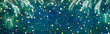 © lumikk555 - Panoramic Wonderful Winter Christmas Holiday Background