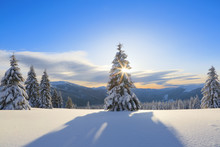 Amazing Winter Sunrise. Sun Rays Lighten Up The Sky And Horizon. Landscape Of High Mountains. Winter Scenery. Wallpaper Background. Location Place Carpathian, Ukraine, Europe.