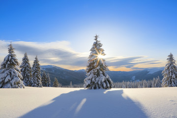 Amazing winter sunrise. Sun rays lighten up the sky and horizon. Landscape of high mountains. Winter scenery. Wallpaper background. Location place Carpathian, Ukraine, Europe.