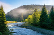 © Pellinni - mountain river among the forest. wonderful nature scenery on a misty sunrise in springtime. waters of a rapid flow in morning light. estuary of tereblya and ozeryanka rivers
