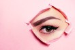 Beautiful brown eye, arrows, perfect eyebrows. Beauty salon, eyebrow master, tattoo master shooter and eyebrow. Beautiful eye on a pink background.