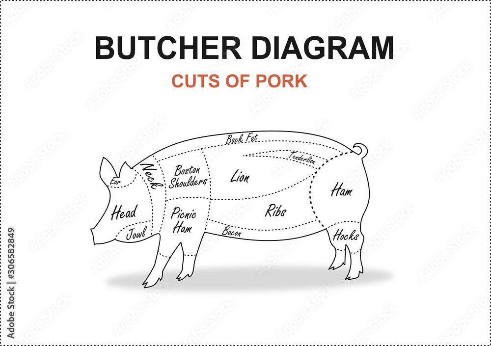 Cut of meat set. Poster Butcher diagram, scheme and guide - Pork ...
