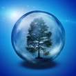 Green tree inside crystal ball