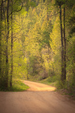 Autumn Country Road (vertical)