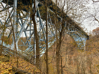 Wall Mural - blue steel bridge in the park