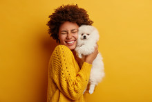 Pleased Happy Afro Girl Gets Lovely Puppy, Plays And Embraces Four Legged Friend With Love, Stands Against Yellow Background, Wears Knitted Jumper. Woman Hugs Pomeranian Spitz. Humans And Dogs