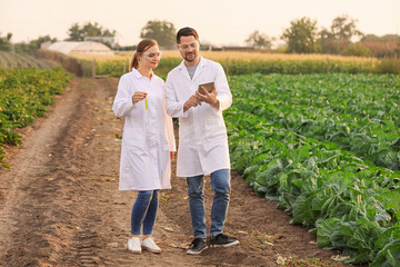 Wall Mural - Agricultural engineers working in field