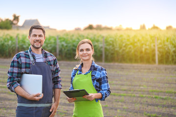 Wall Mural - Agricultural engineers working in field