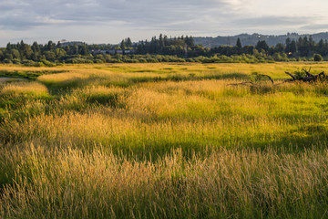 Tualatin River National Wildlife Refuge