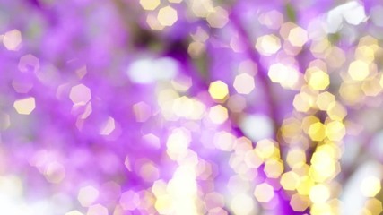 Wall Mural - Blurred Colorful Lights Bokeh Decorate on Tree, Celebration Happy New Year 