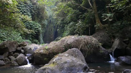 Wall Mural - Bali sekumpul waterfall tourist attraction in tropical rain forest