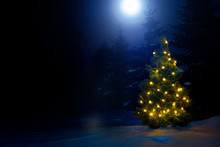 Decorated Christmas Tree Outdoor With Christmas Lights With Moon