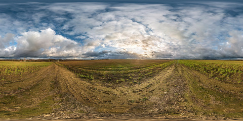 Wall Mural - full seamless spherical hdri panorama 360 degrees angle view among fields in autumn sunny evening wi