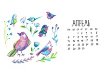 Bright Birds Illustration And Calendar