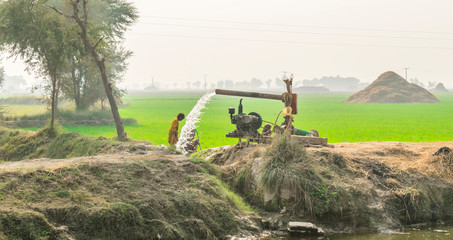 Wall Mural - crystal clear sweet and healthy water being flush out by a heavy diesel engine tube well in the tomatoes fields where the river water can't reach in Pakistan 