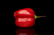 © PIXbank - One whole hot chili............... habanero isolated on black glass