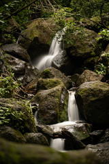 Wall Mural - waterfall in deep forest