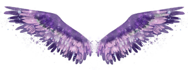 Beautiful purple pink watercolor spreaded wings with touch of green color