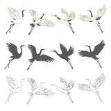 Fototapeta Konie - Silhouette or shadow black ink icons of crane birds or herons flying and standing set. Group of storks outline template or creative background vector illustration isolated on white.