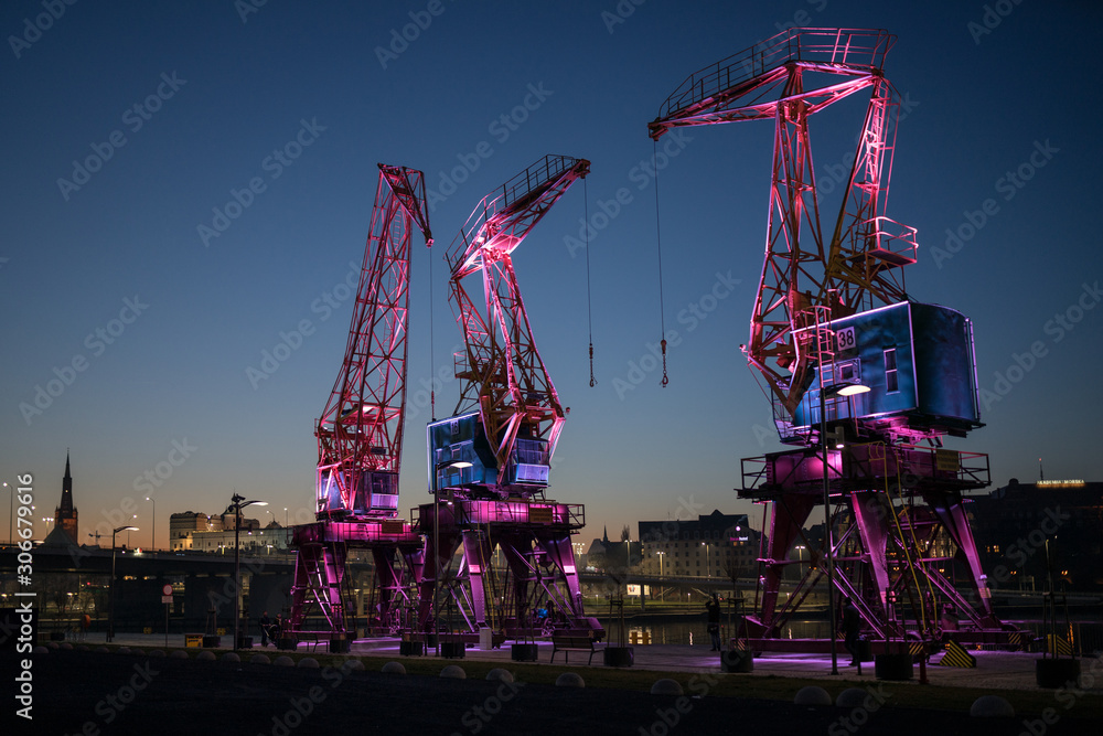 Dźwigozaury - Cranesaurs - colorfully illuminated cranes on the quay of Szczecin Łasztownia - obrazy, fototapety, plakaty 