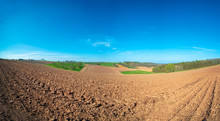Panorama Of Spring  Arable Field