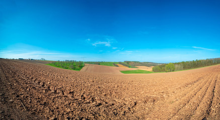 Panorama of spring  arable field