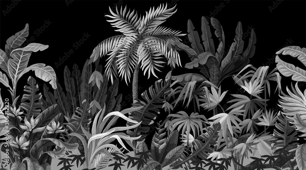 Seamless border with jungle trees in monochrome style. Stock Vector ...