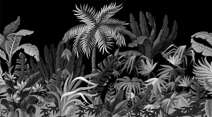 Plakat vintage dżungla sztuka ogród piękny