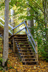 Wall Mural - wooden stairs to watch tower in wet colored autumn day in countryside