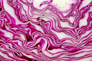  red cabbage in a section beautiful patterns of cabbage