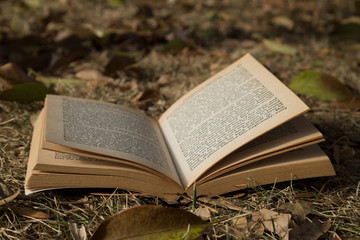 Wall Mural - book on the autumn leaves at the outside.