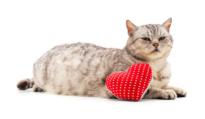 Canvas Print - Cat with toy heart.