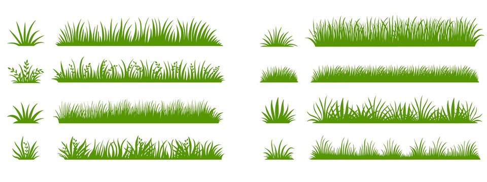 Wall Mural - Green grass silhouette. Cartoon lines of plants and shrubs for boarding and framing, eco and organic logo element. Vector set spring field planting shapes lawn or borders garden on white background
