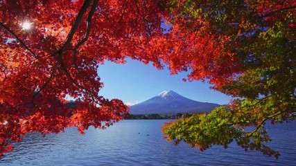 mountain fuji with red maple in autumn, kawaguchiko lake, japan